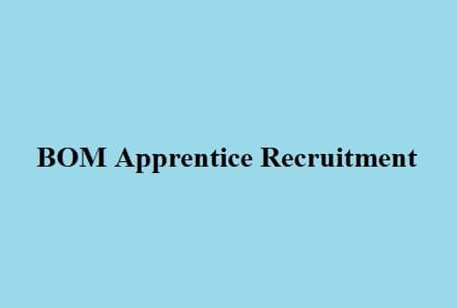 Bank of Maharashtra Apprentice Recruitment 2024